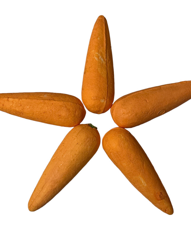 Set 5 morcovi decorativi 8cm