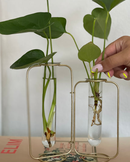 Suport metalic Hidroponic dublu cu eprubete