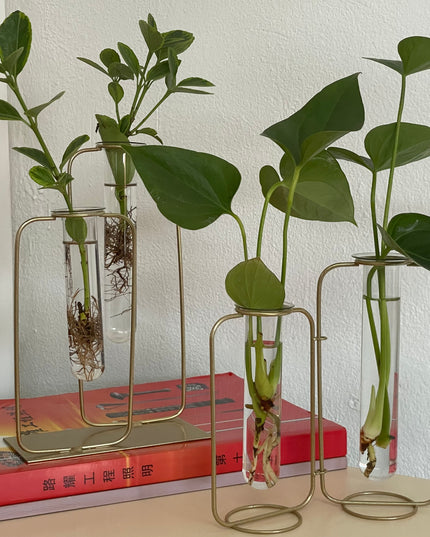 Suport metalic Hidroponic dublu cu eprubete