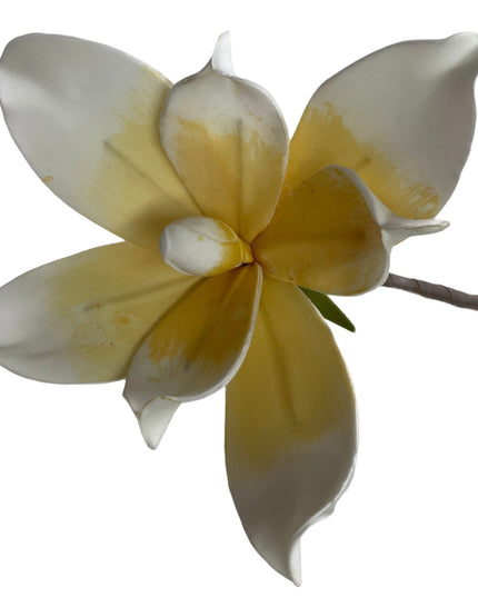 Floare fir cauciuc 96 x 20cm