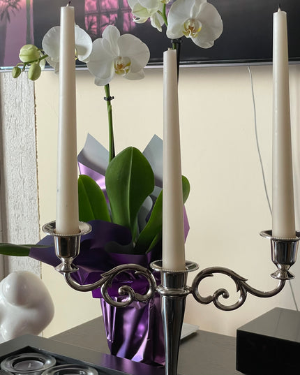 Suport lumânare Alpaca 3 brate