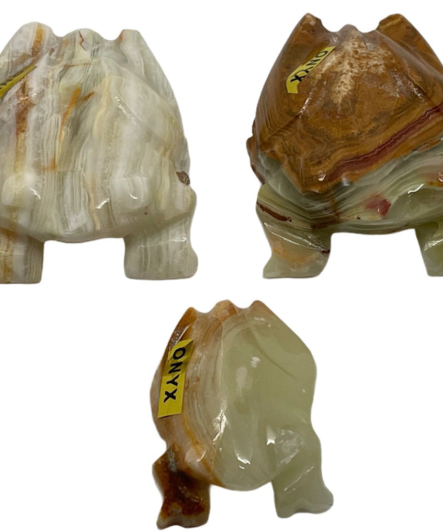 Set 3 broscuțe Onix