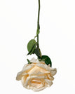 Crem