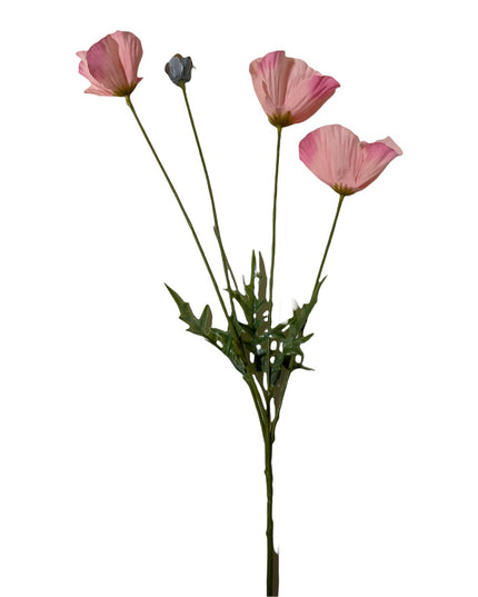 Floare fir Mac 58cm