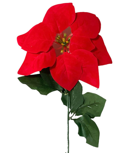 Floare Crăciun  56cm