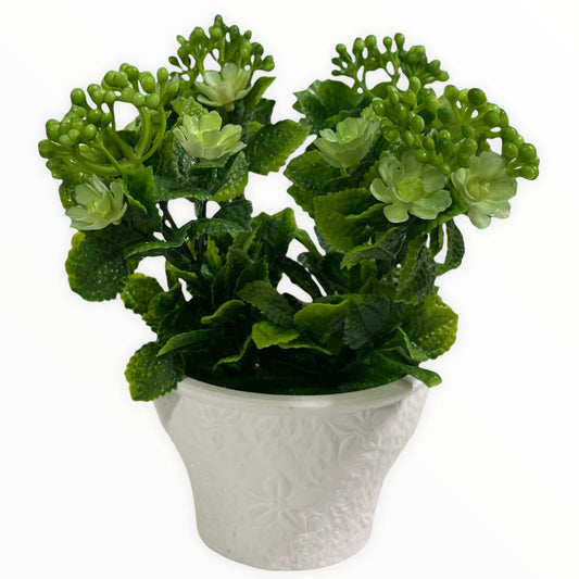 Ghiveci ceramic Flori de piatră  F41  19cm