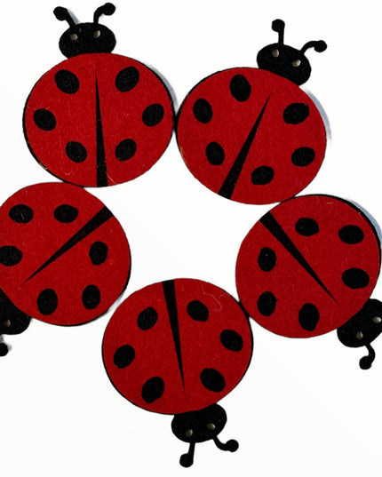 Accesorii Fetru 5/set 5cm