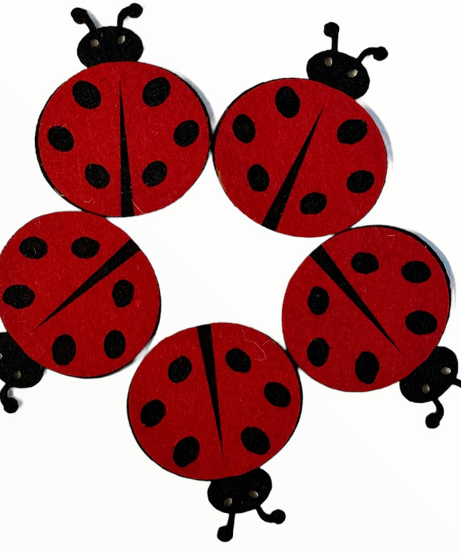 Accesorii Fetru 5/set 5cm