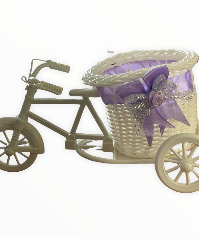 Coș plastic Bicicletă 21cm