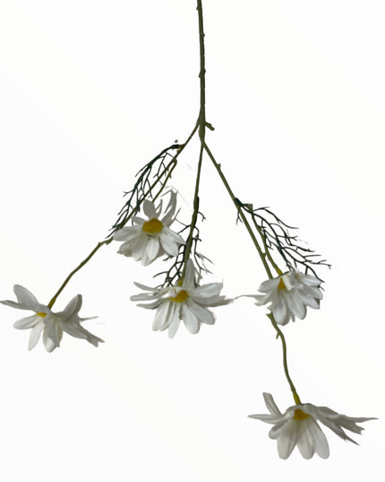 Margaretă fir 5 capete. 50cm