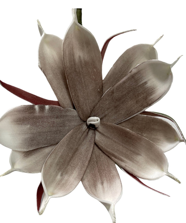 Floare fir cauciuc 89 x 20cm