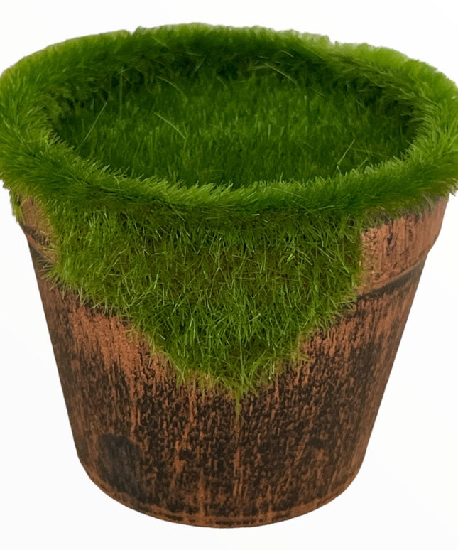 Ghiveci plin pentru aranjament rotund  6cm