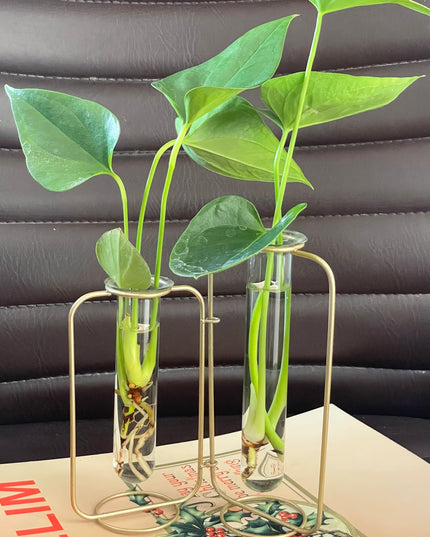 Suport metalic Hidroponic dublu cu eprubete