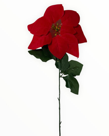 Floare Crăciun  56cm