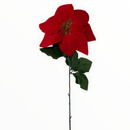 Floare Crăciun  56cm