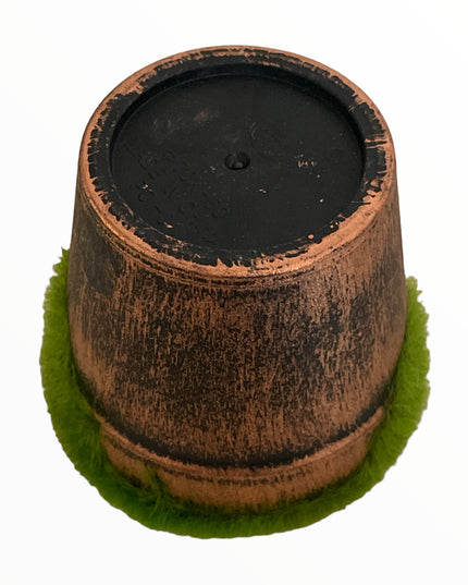 Ghiveci plin pentru aranjament rotund  6cm