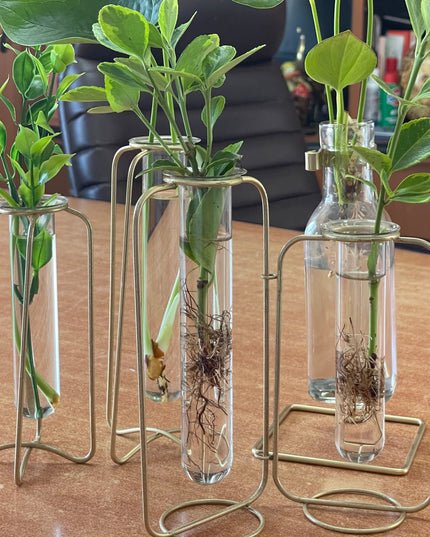 Suport metalic Hidroponic dublu cu eprubete