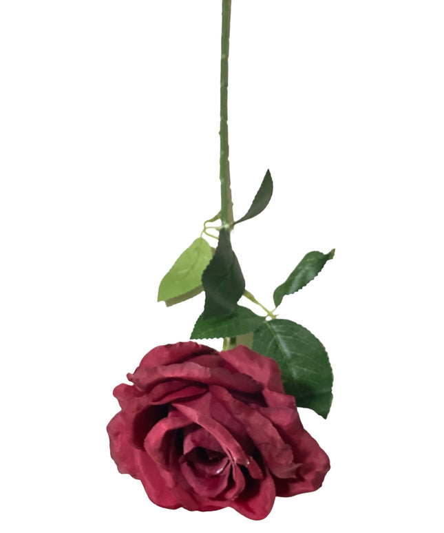 Trandafir color. 50cm