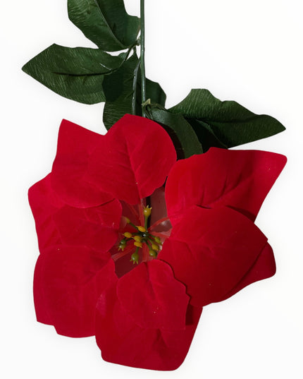 Floare Crăciun  56cm