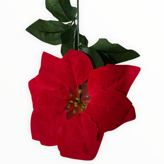 Floare Crăciun  56cm