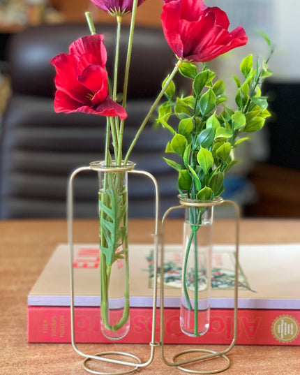 Suport metalic Hidroponic dublu cu eprubete