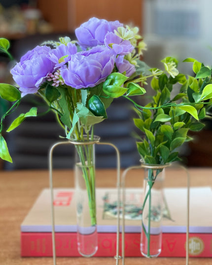 Suport metalic Hidroponic dublu cu eprubete