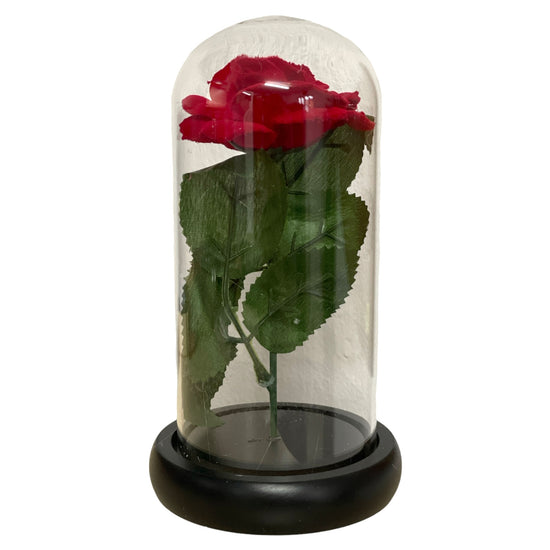 Cupolă sticlă cu trandafir 27cm