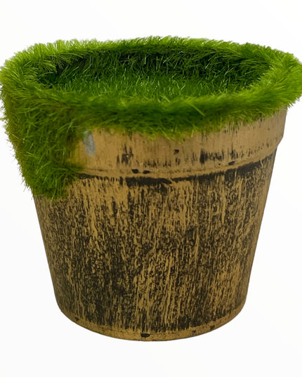 Ghiveci plin pentru aranjament rotund  6cm