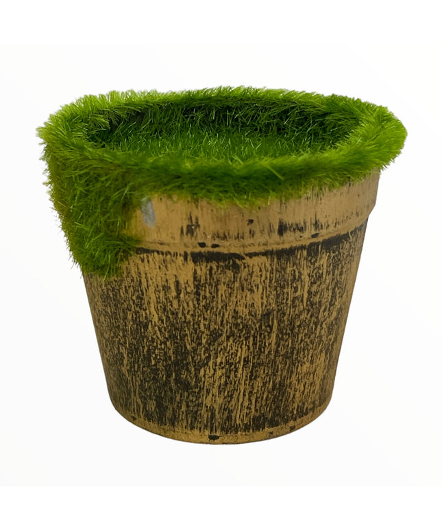 Ghiveci plin pentru aranjament rotund  6cm