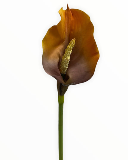 Floare fir Cală 70cm