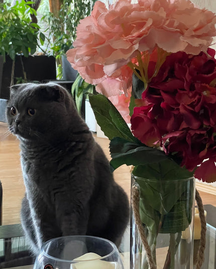 Cilindru de sticlă Hidroponic 20cm