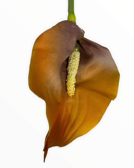 Floare fir Cală 70cm