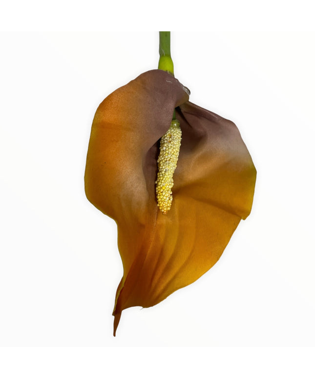 Floare fir Cală 70cm