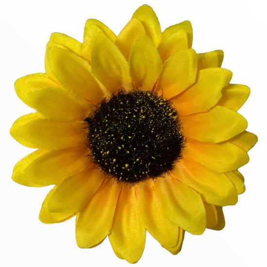 Floarea-Soarelui 5 capete. 55cm