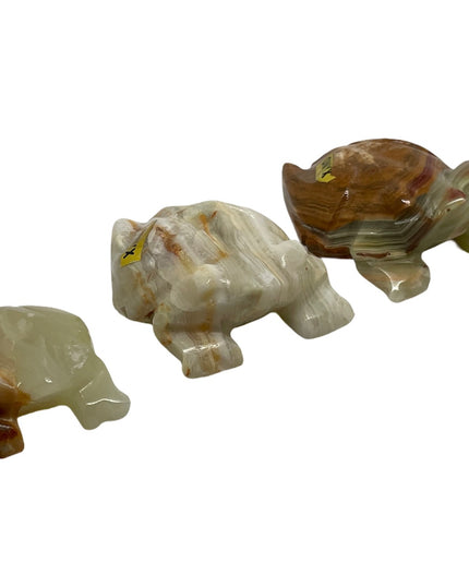 Set 3 broscuțe Onix