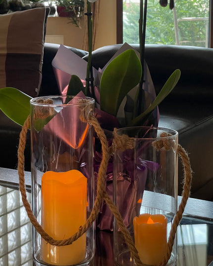 Cilindru de sticlă Hidroponic 25cm